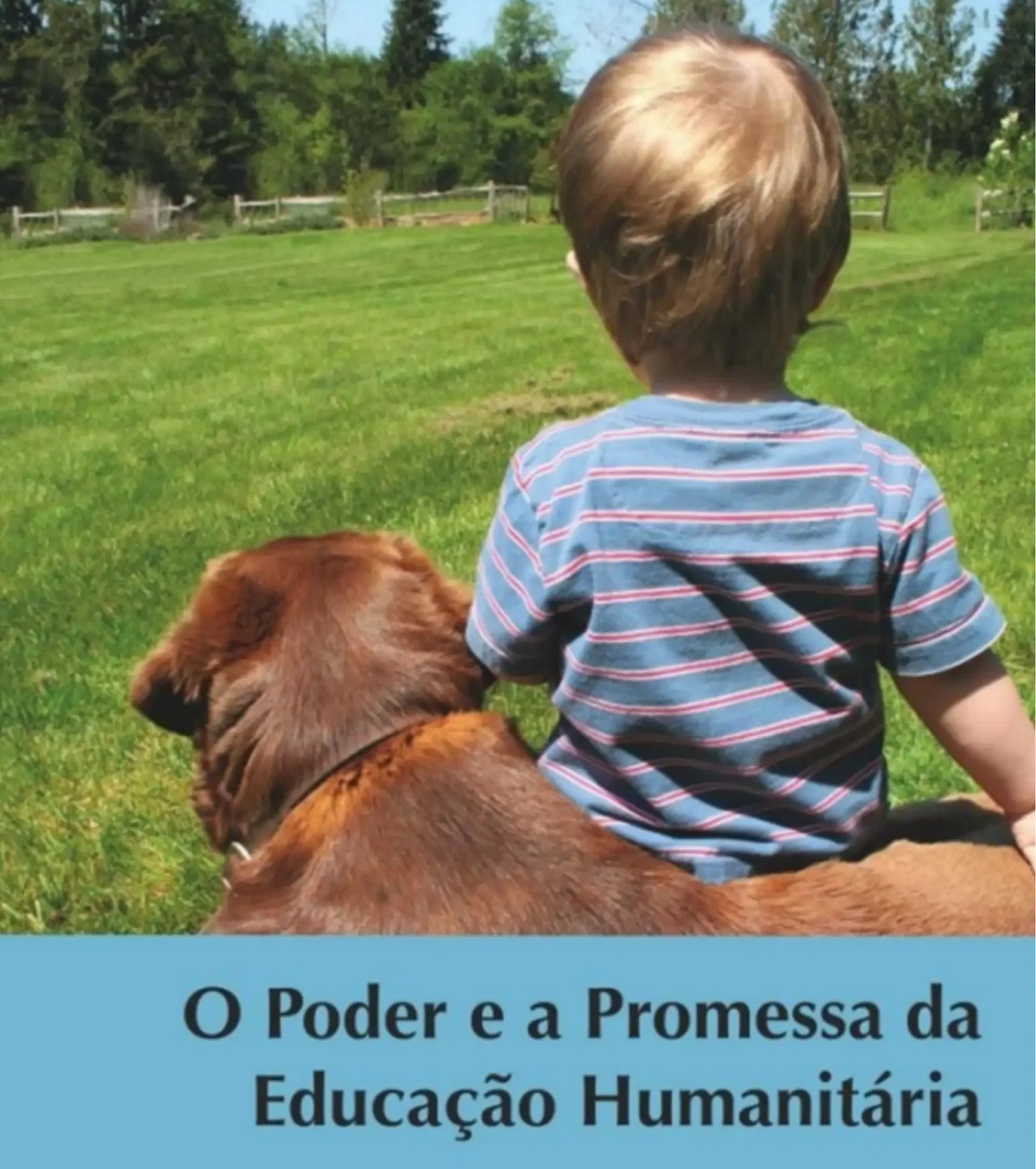 educacao humanitaria