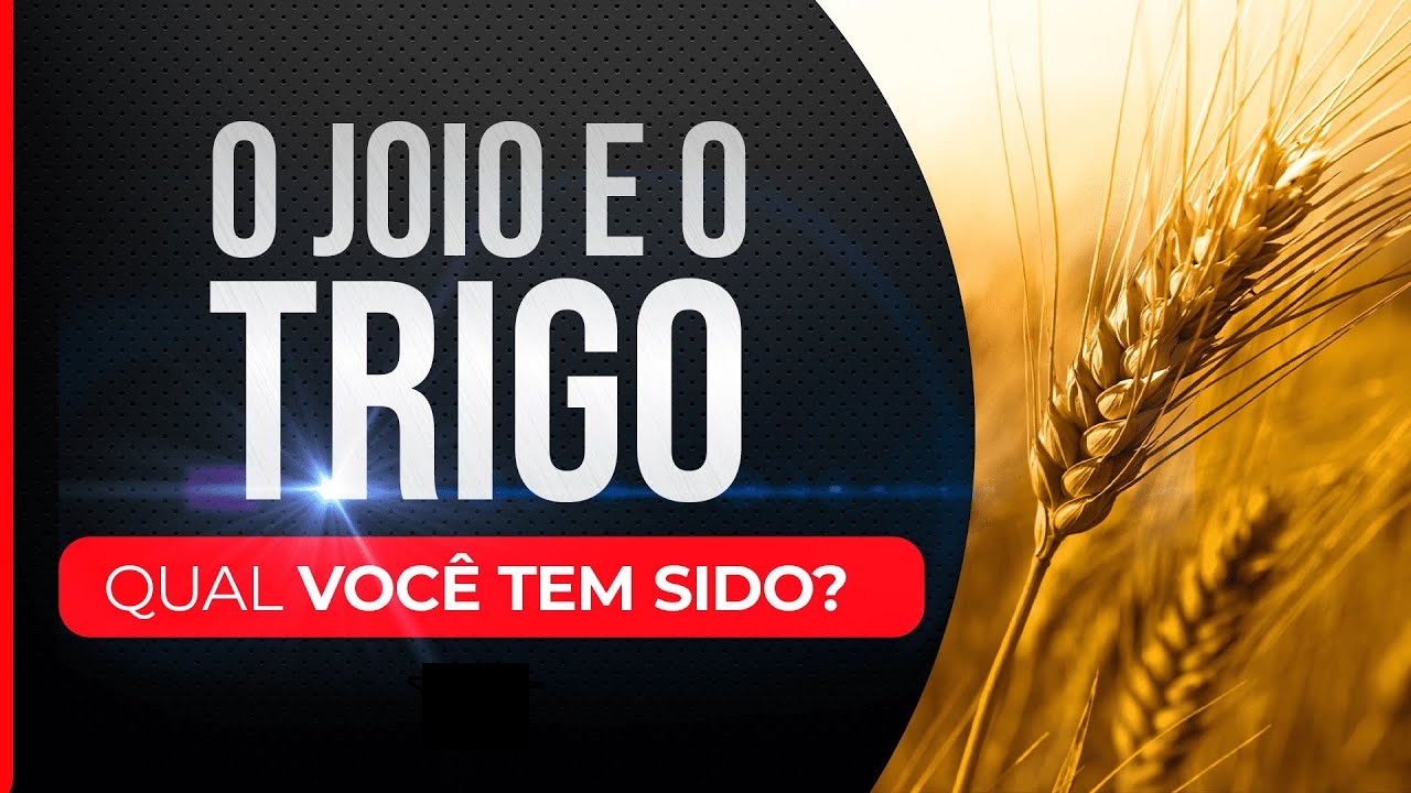 joio trigo