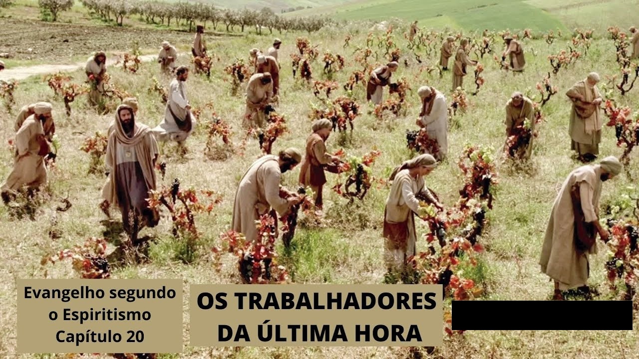 trabalhadores ultima hora